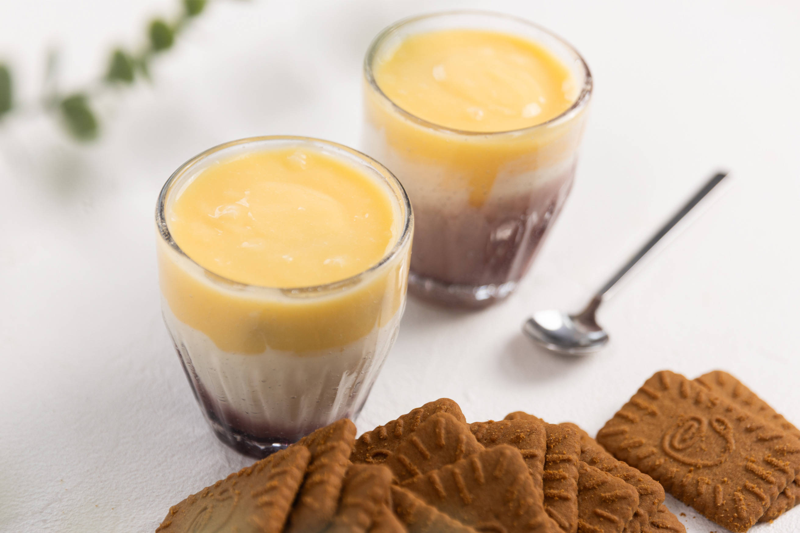 Japanese Lemon Yoghurt Cheesecake Cups Recipe 