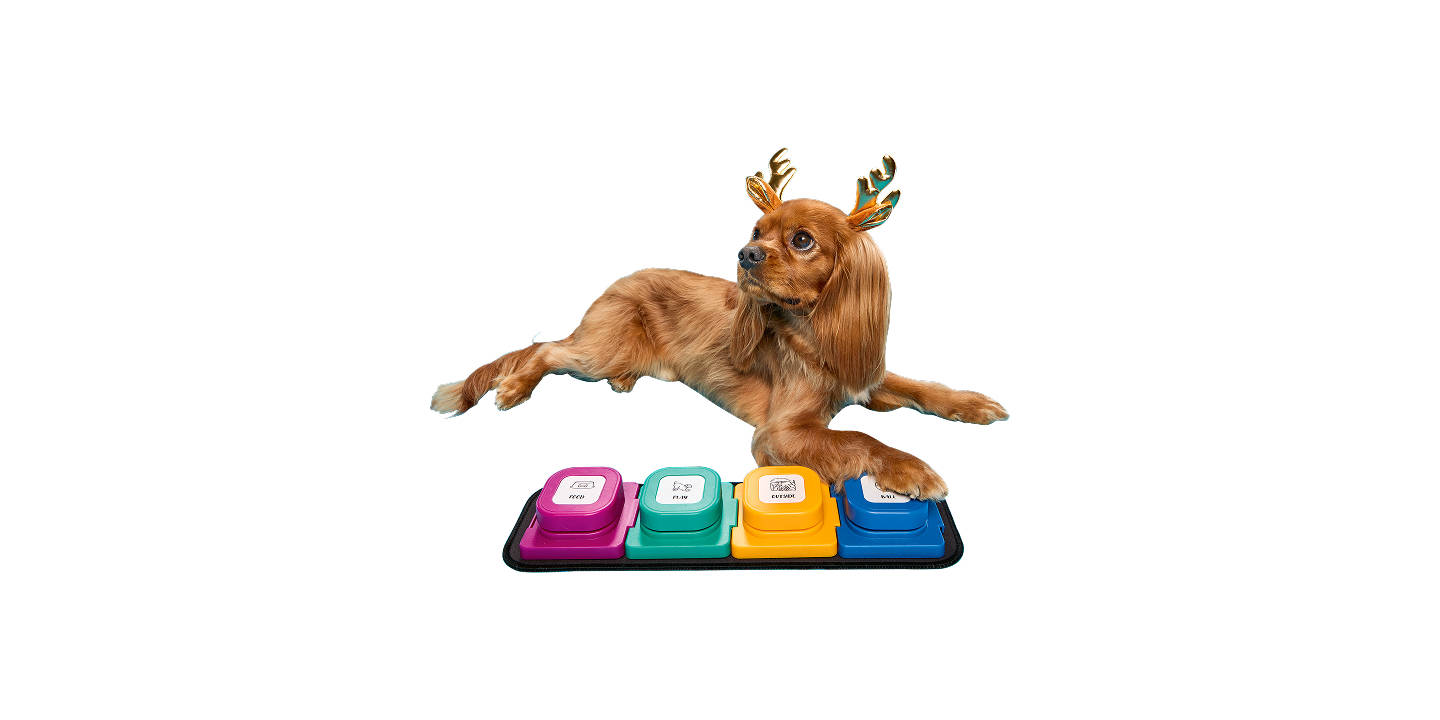 Special Buys Saturday 6th Dec