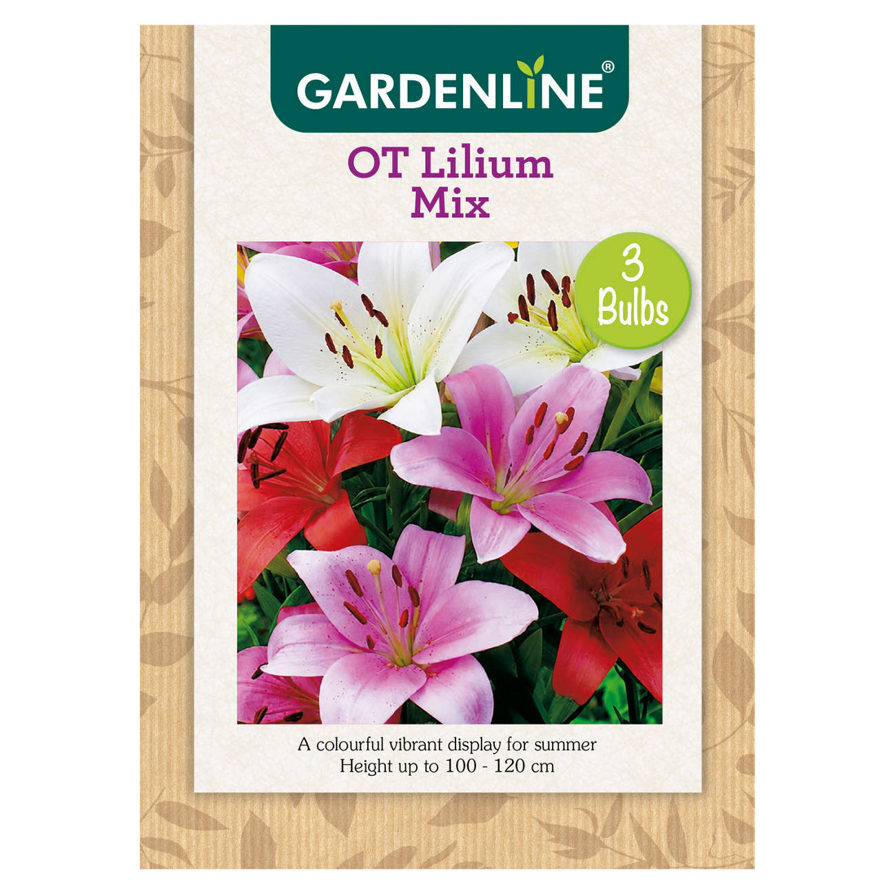 Assorted Packet Bulbs
