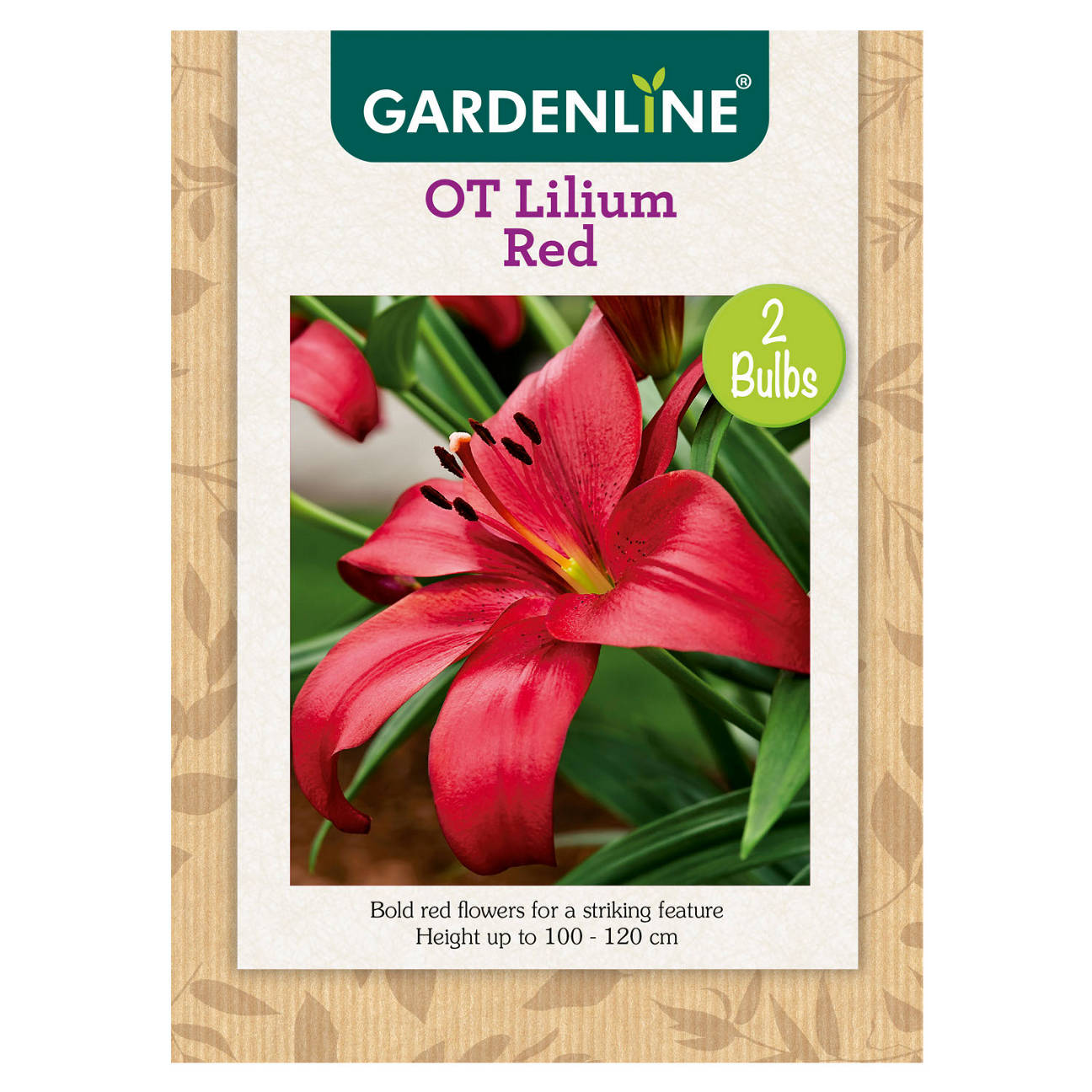 Assorted Packet Bulbs