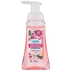 Antibacterial Foaming Hand Wash 250 mL