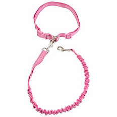 Assorted Activity Lead