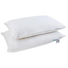 Feather Pillow 2 Pack