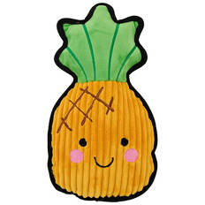 Assorted Tough Dog Toy