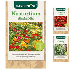 Assorted Packet Seeds