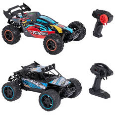 Racing Car Assortments