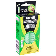 Camphor 2 Pack