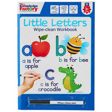 Wipe Clean Workbooks or Flash Cards