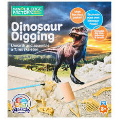 DIY Science Sets