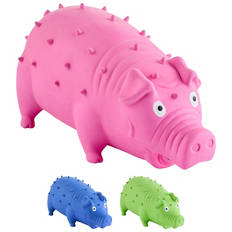 Assorted Squeaky Dog Toy