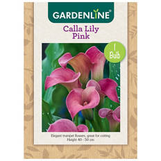 Assorted Packet Bulbs