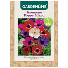 Assorted Packet Bulbs