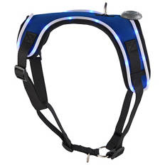 Assorted Dog Harness with LED Light