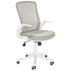 Ergonomic Office Chair