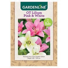 Assorted Packet Bulbs