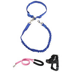Assorted Activity Lead