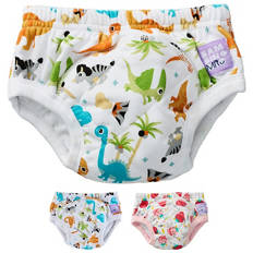 Assorted Potty Training Pants 1 Pack