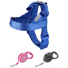 Assorted Retractable Lead