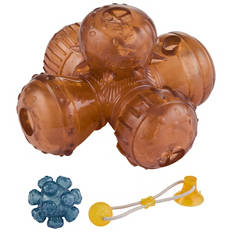 Active Pet Toy Assortment