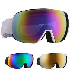 Snow Goggles