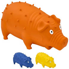 Squeaky Dog Toy