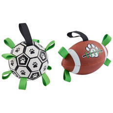 Assorted Interactive Dog Ball