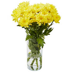 Chrysanthe Bunch