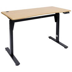 Electric Standing Office Desk
