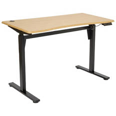 Electric Standing Office Desk
