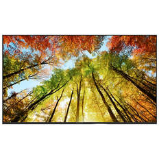 55" 4K Ultra HD Smart TV with webOS