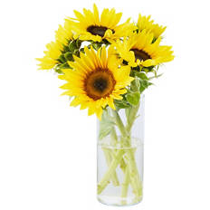 Sunny Bunch Bouquet