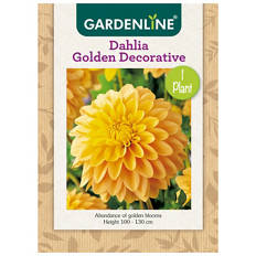 Dahlia or Gladioli Packet Bulbs