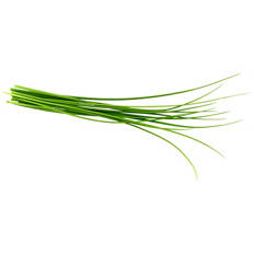 Living Herbs Chives