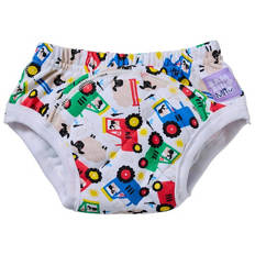 Assorted Potty Training Pants 1 Pack