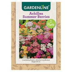 Assorted Packet Bulbs