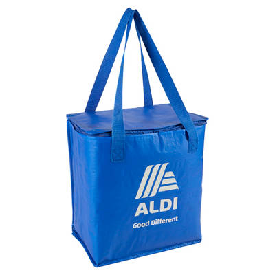 ALDI Cooler Bag