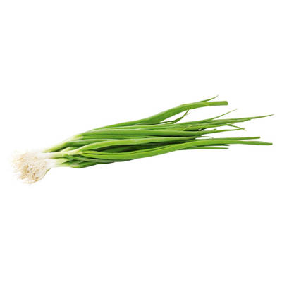 Spring Onion Bunch