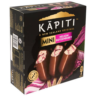 KAPITI Nelson Boysenberry Ice Cream 6 Pack 360ml