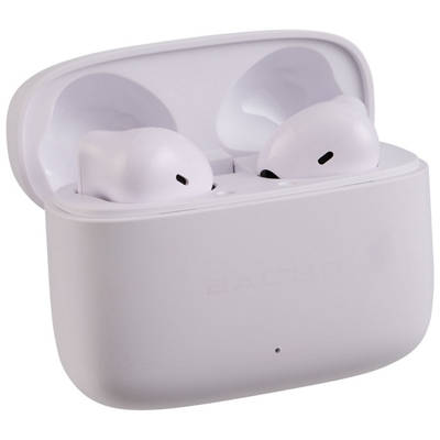 BAUHN True Wireless Earbuds
