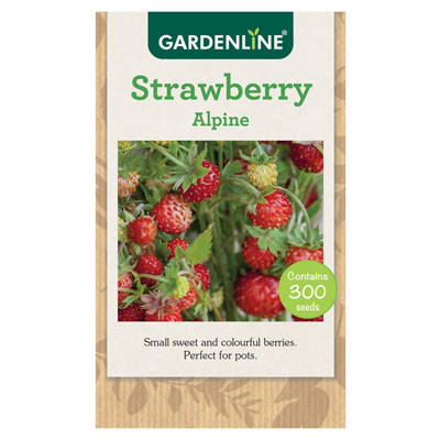 Assorted Packet Seeds