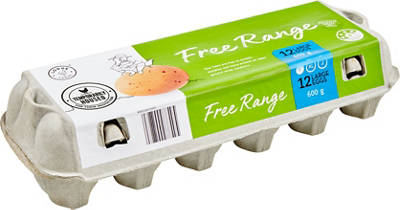 LODGE FARMS Free Range Eggs 600g