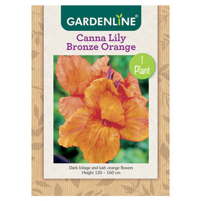 Assorted Packet Bulbs