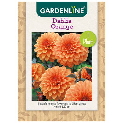 GARDENLINE Packet Bulbs