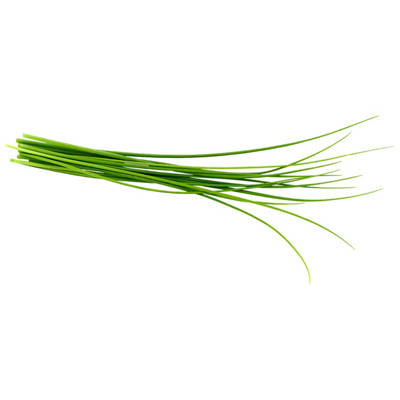 Living Herbs Chives
