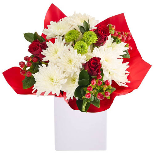 Front shot 4, Rudolph's Arrangement