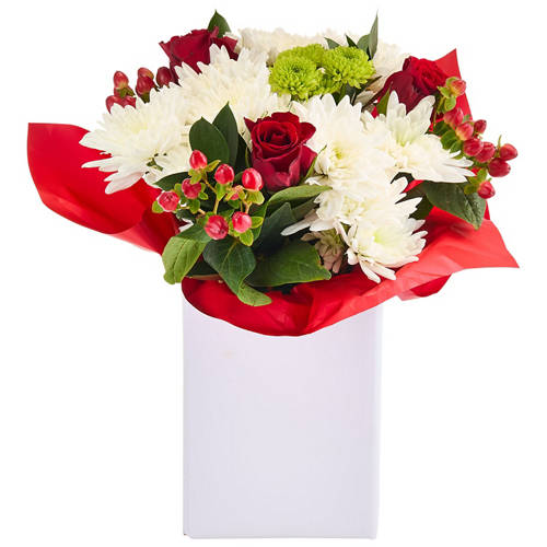 Front shot 5, Rudolph's Arrangement