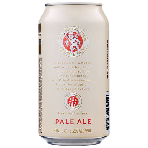 Front shot 4, Pale Ale Cans 4x375ml