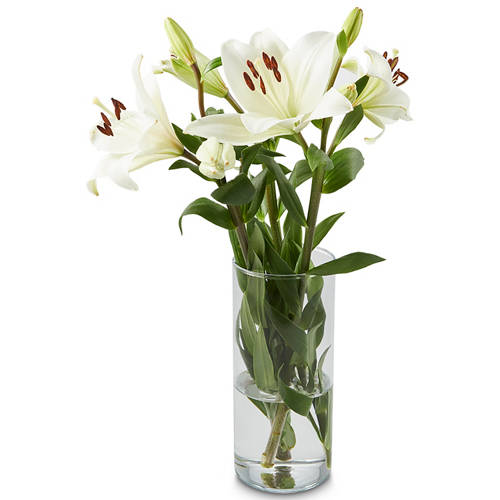 Front shot 2, Asiatic Lily Bunch