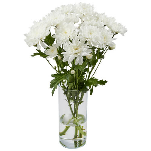 Front shot 3, Chrysanthemums Bunch