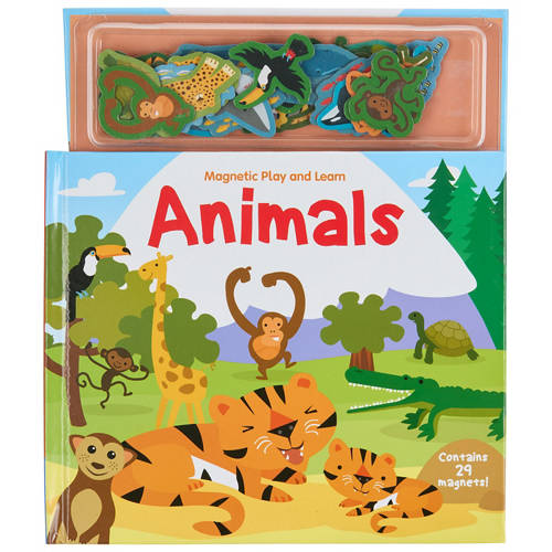 Front shot 1, Assorted Magnetic Play Books